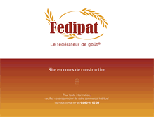 Tablet Screenshot of fedipat.com